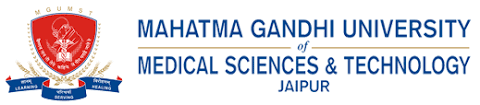 Mahatma Gandhi Medical College & Hospital